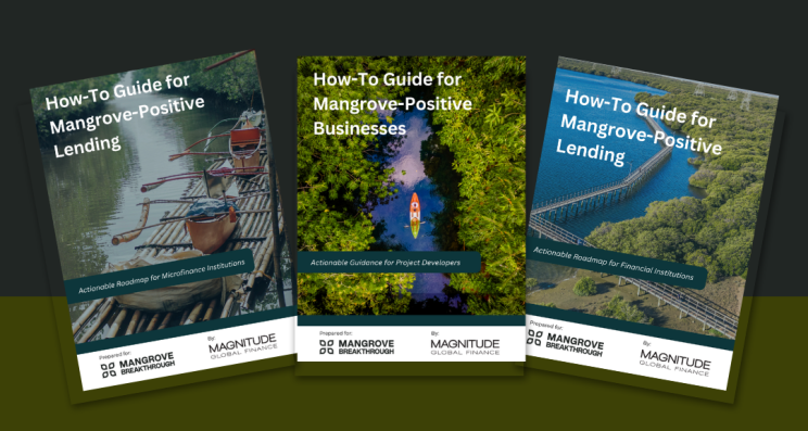Title page of the Mangrove Breakthrough and Magnitude Reports - How to guides for mangrove-positive buisnesses and lending