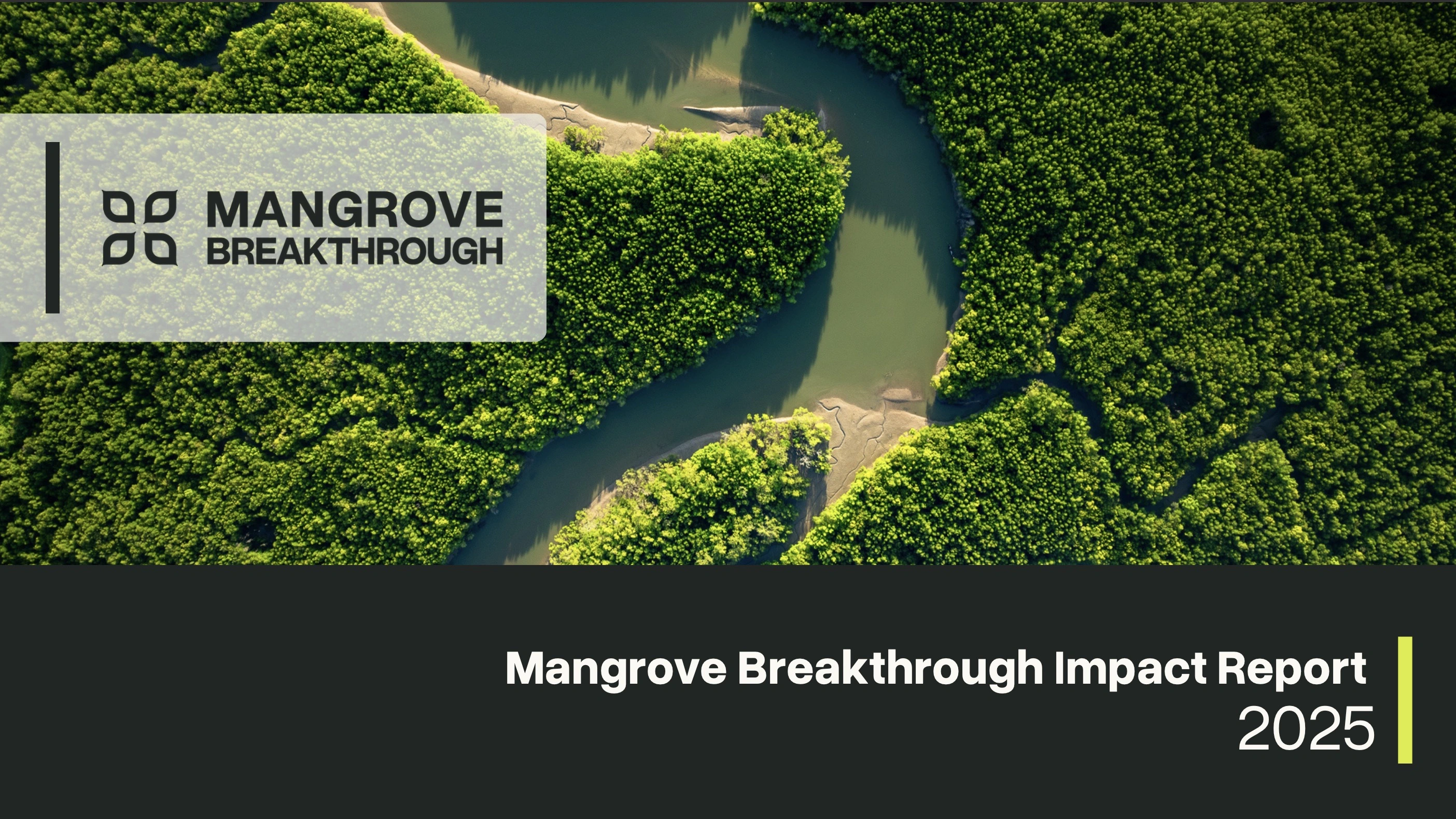 Opening page of the Mangrove Breakthrough Report. Aerial image of mangroves with Impact Report title on dark background.