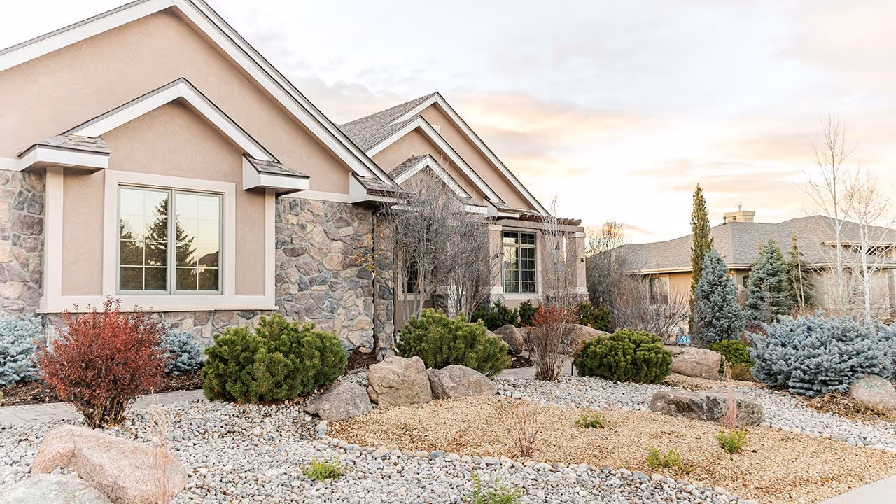 Professional tree and shrub planting project by Front Range Outdoor Solutions in Greeley CO