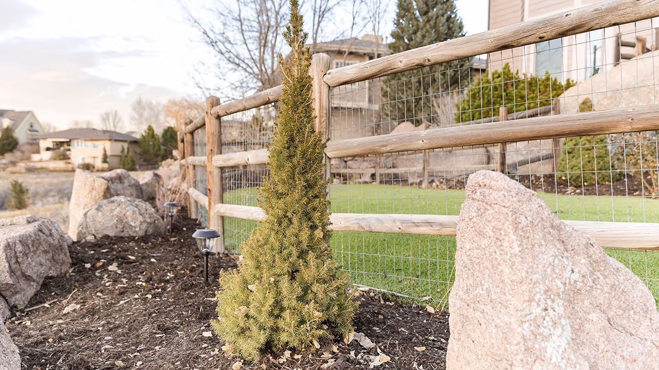 Front Range Outdoor Solutions seasonal yard cleanup and shrub trimming in Johnstown