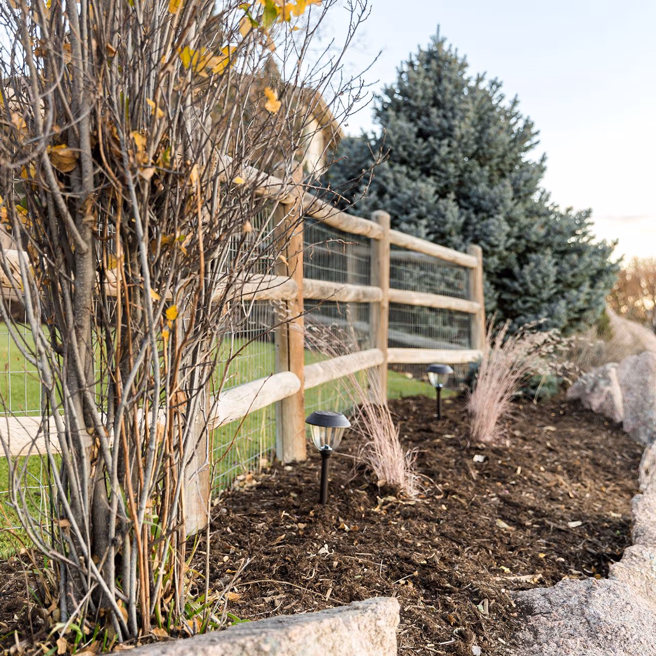 Professional lawn care and turf installation by Front Range Outdoor Solutions near me in Fort Collins