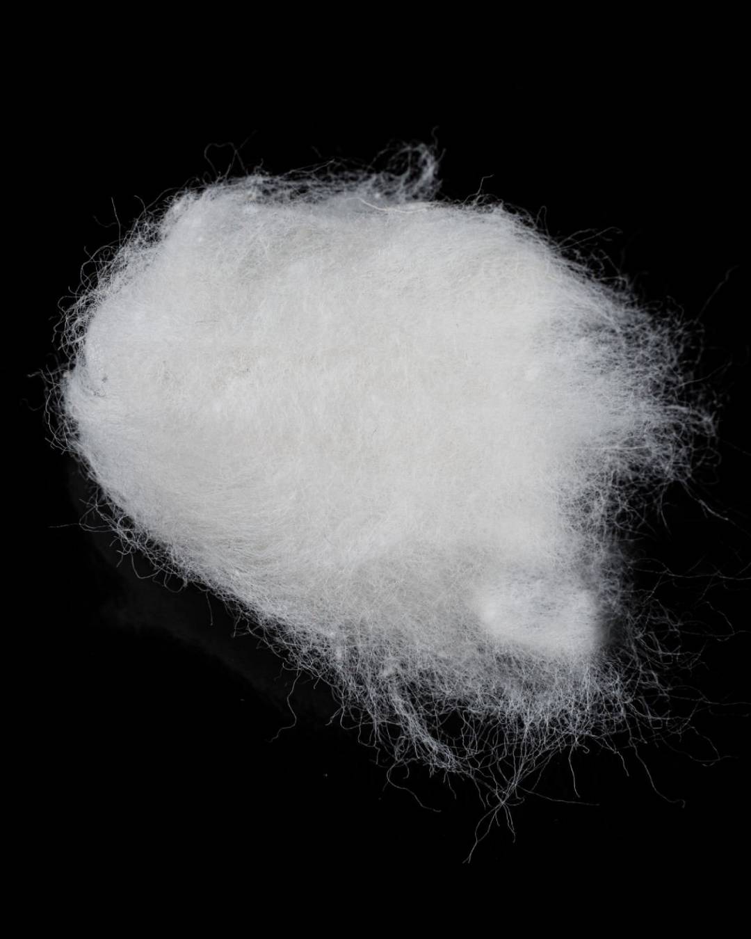 Conjugated Fiber