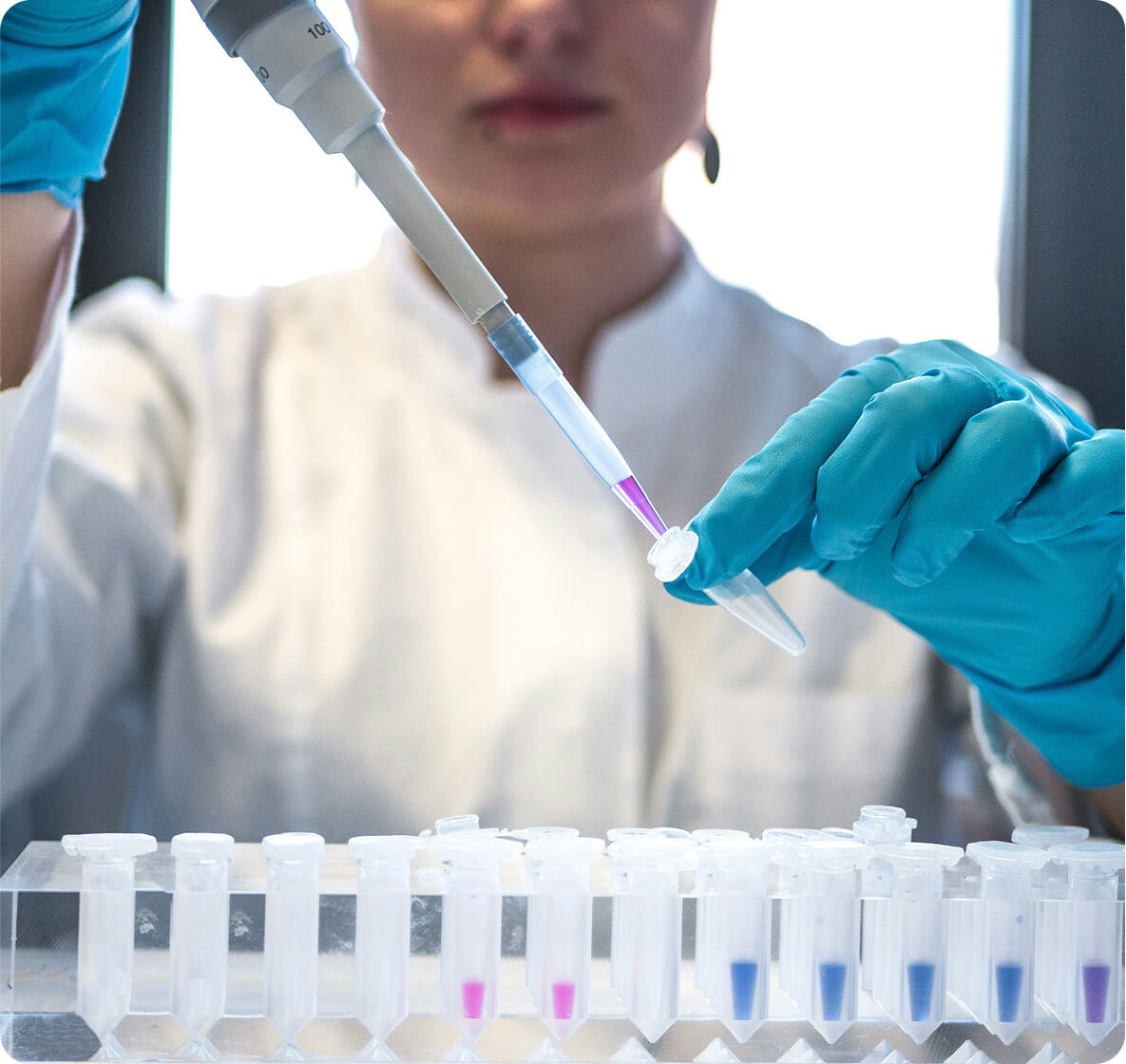 A scientist taping an iPad