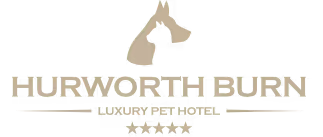 Our logo