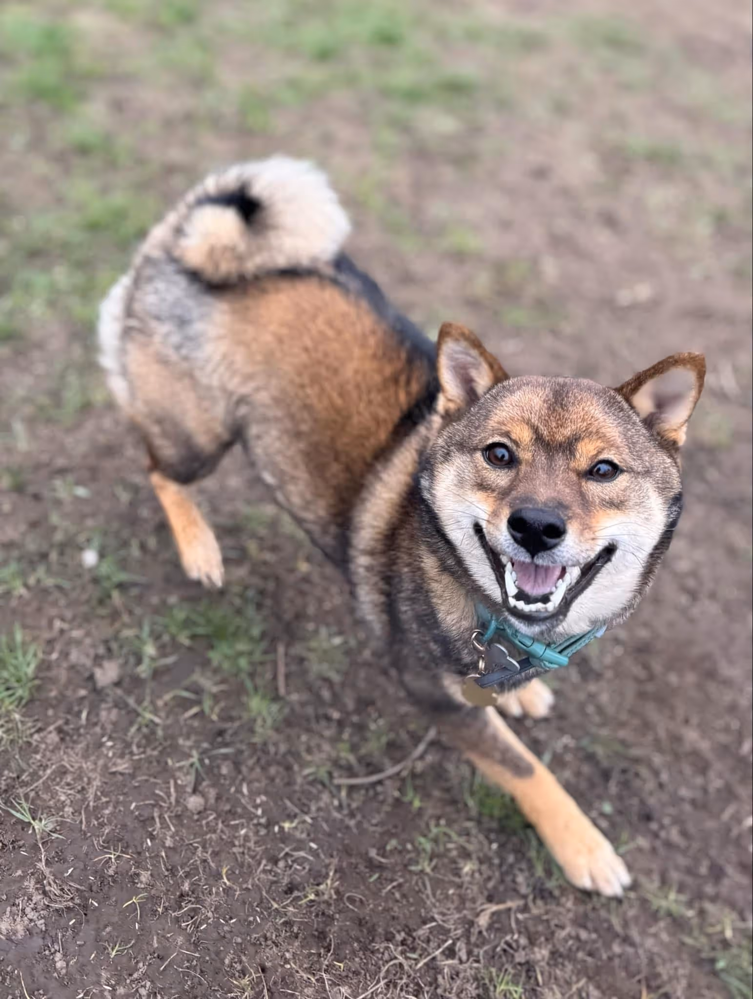 A picture of one of our guests