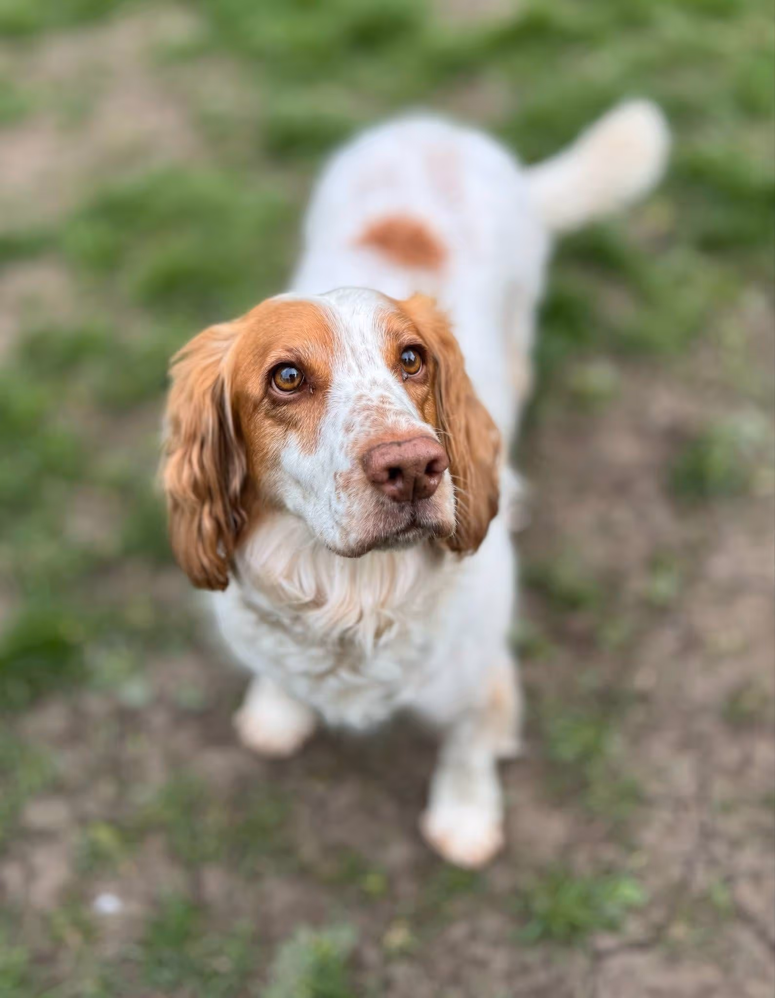 A picture of one of our guests