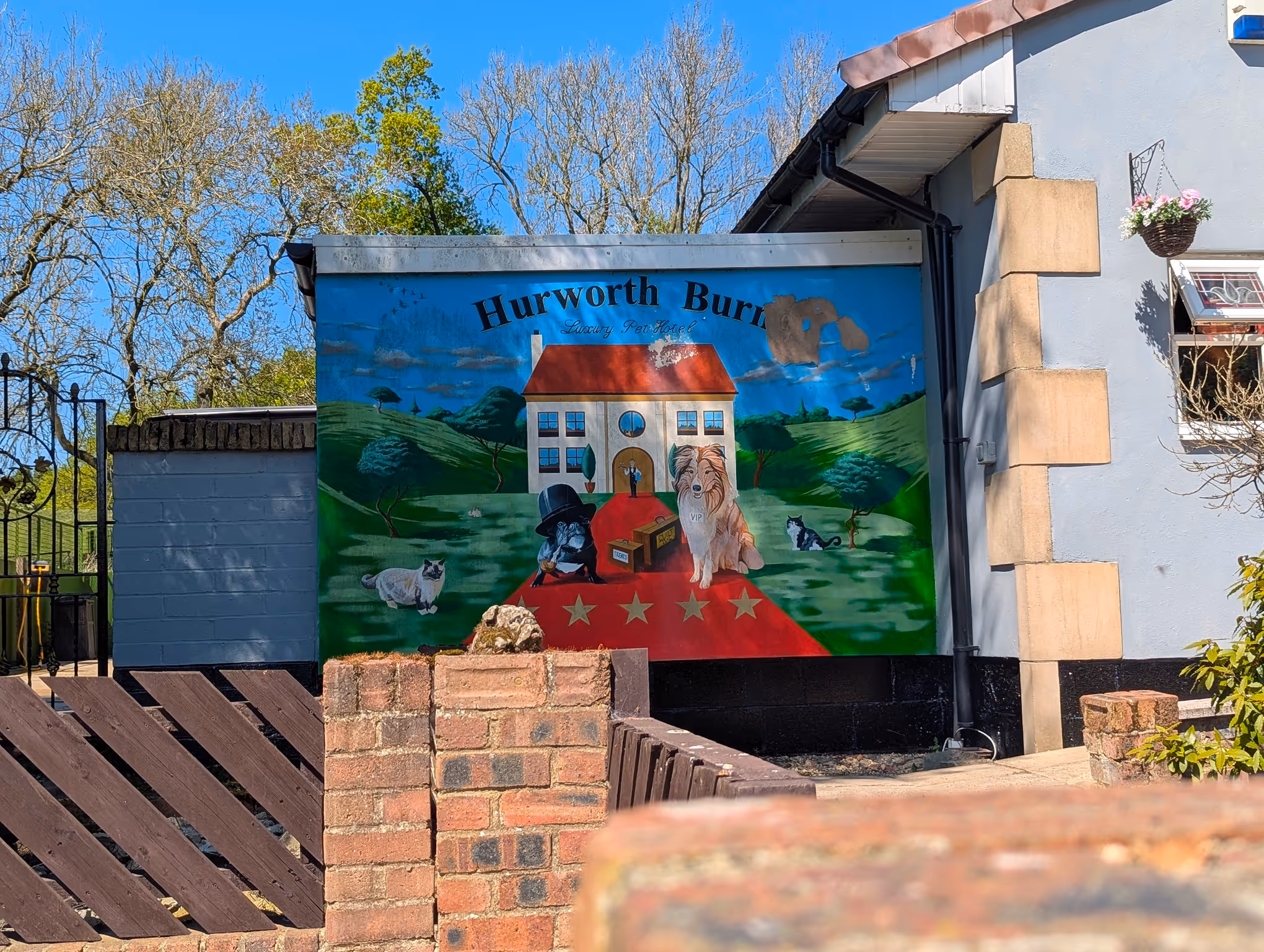 [background image] of an animal shelter