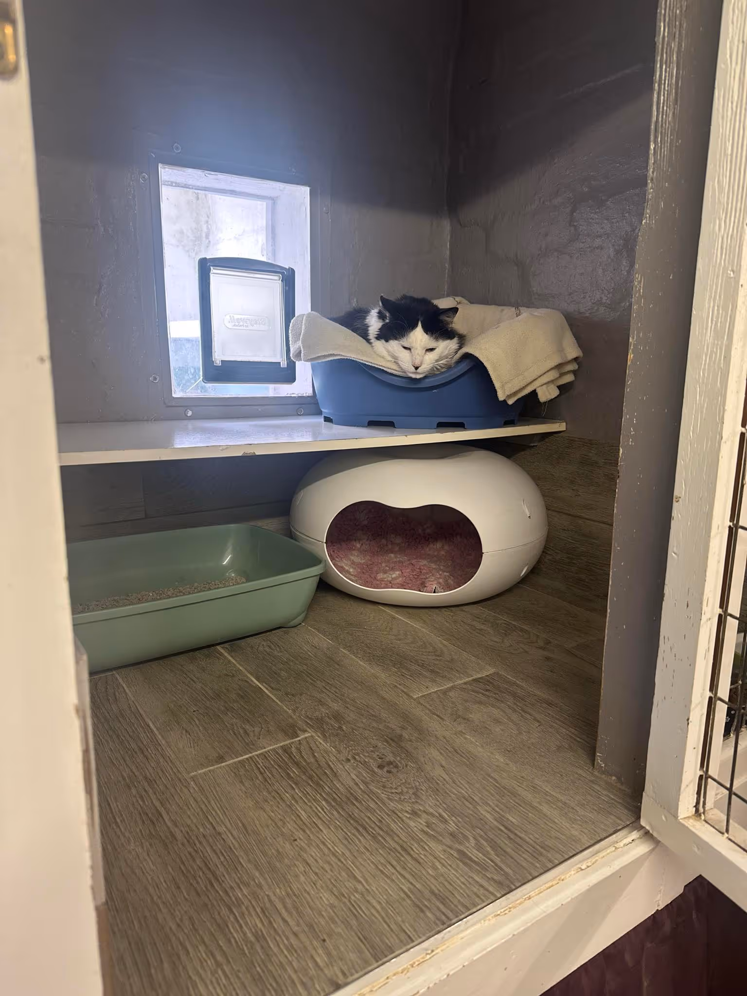 A picture of one of our guests
