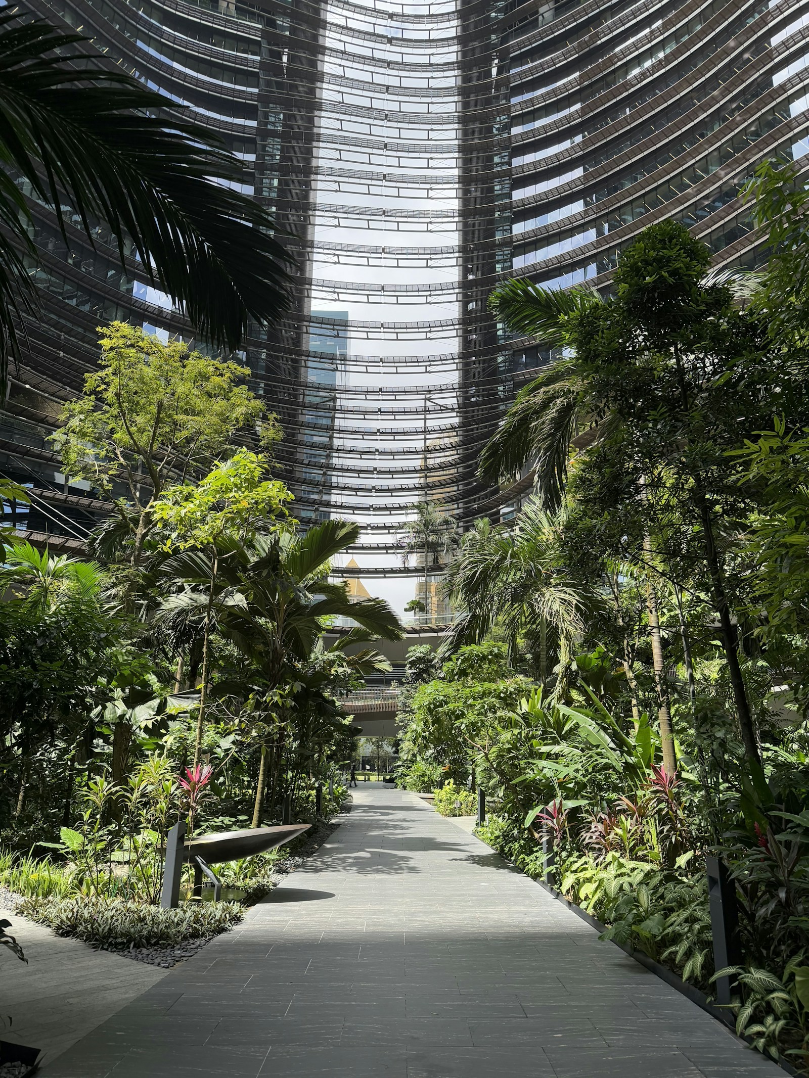 Lush planted walkway leading towards a modern building