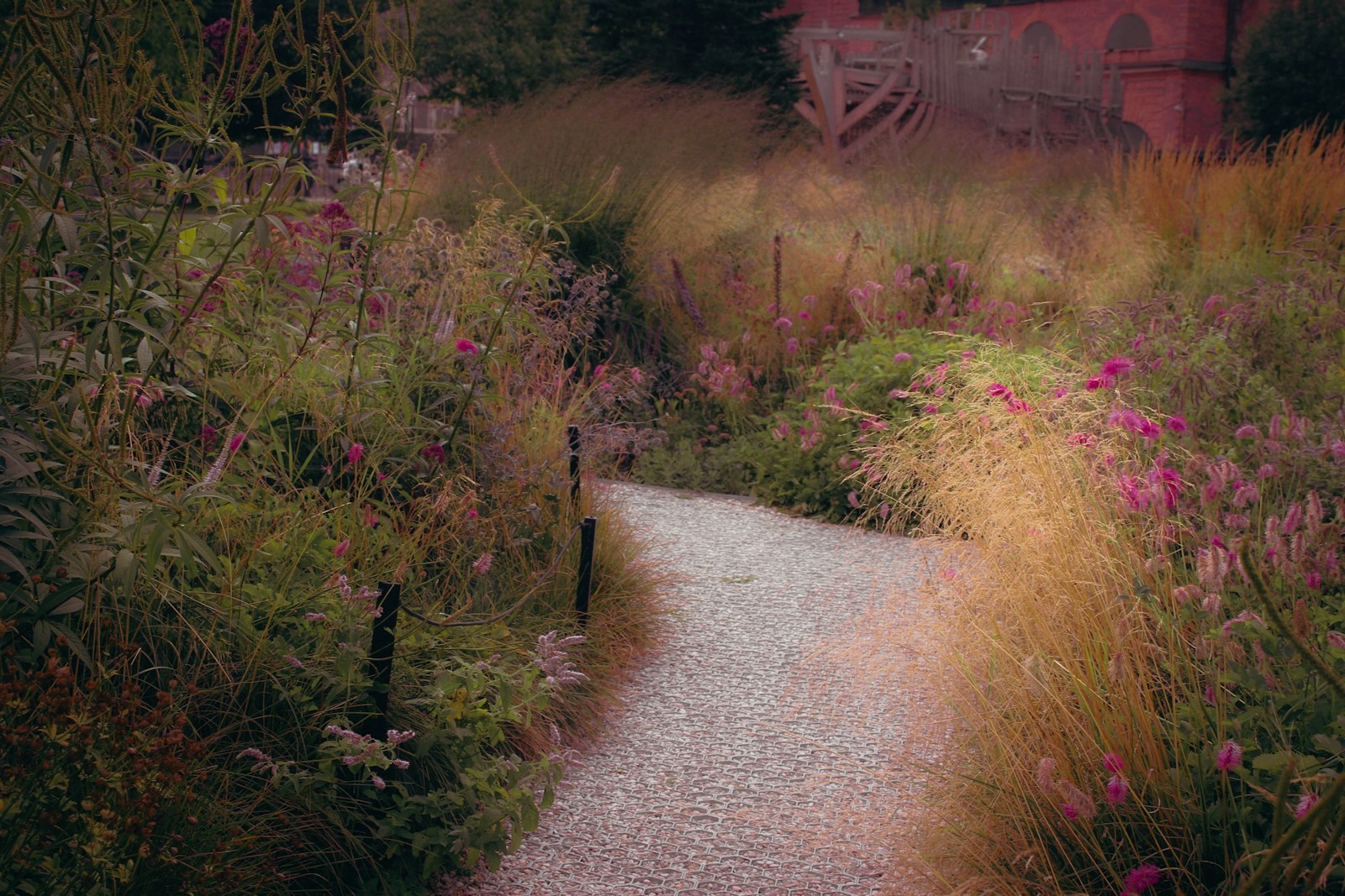 A gravel garden path winding through tall grasses and flowering plants