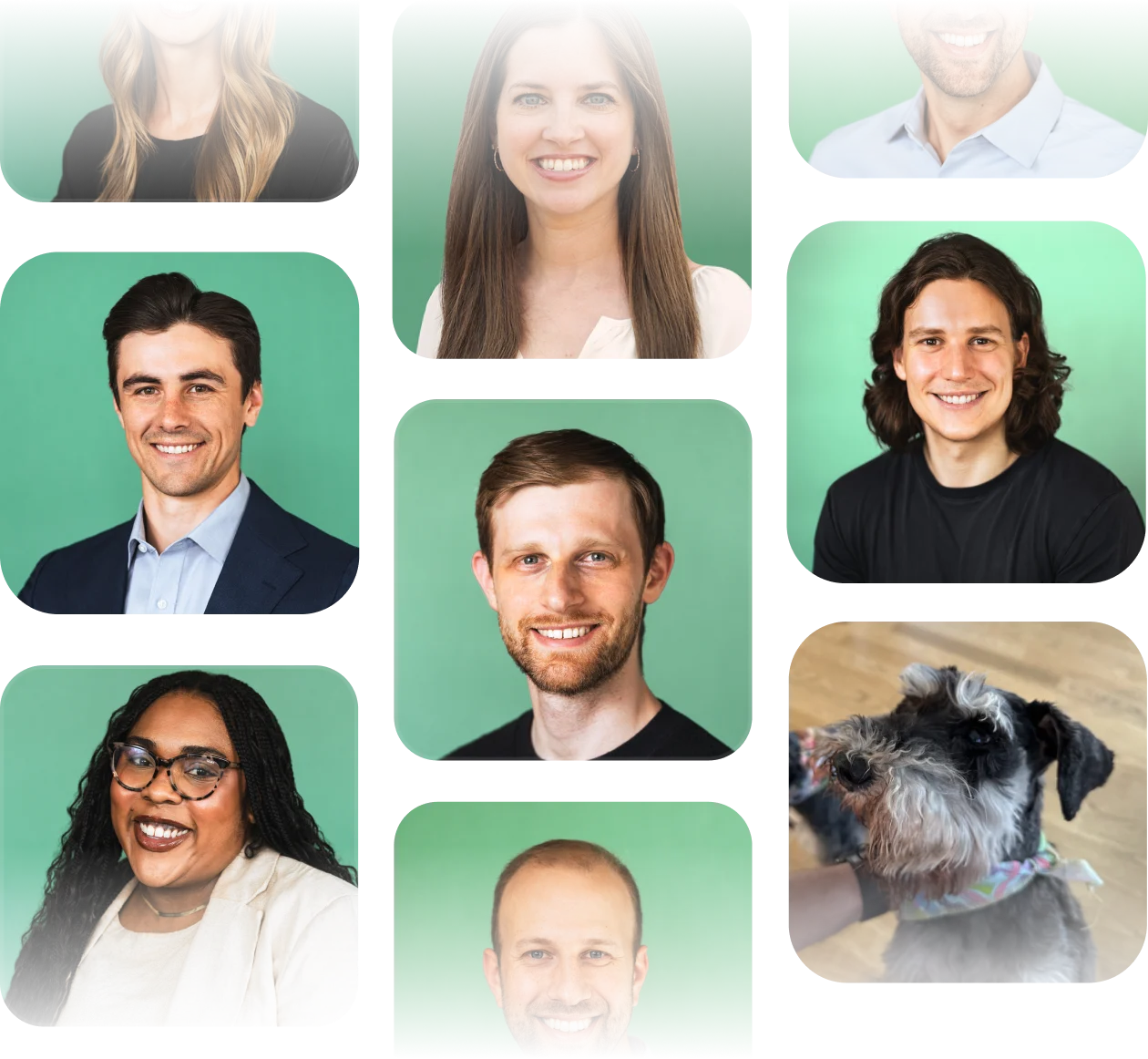 Perchwell team members collaborating in the office