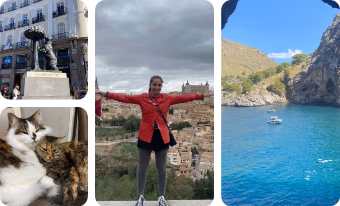 Переезд в Испанию с двумя котами по Digital Nomad