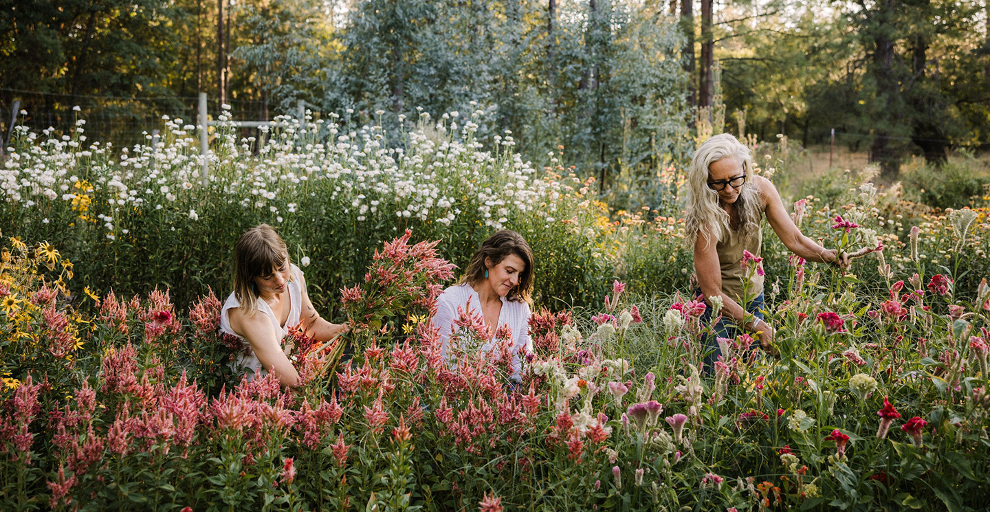 Three women in a field of flowers