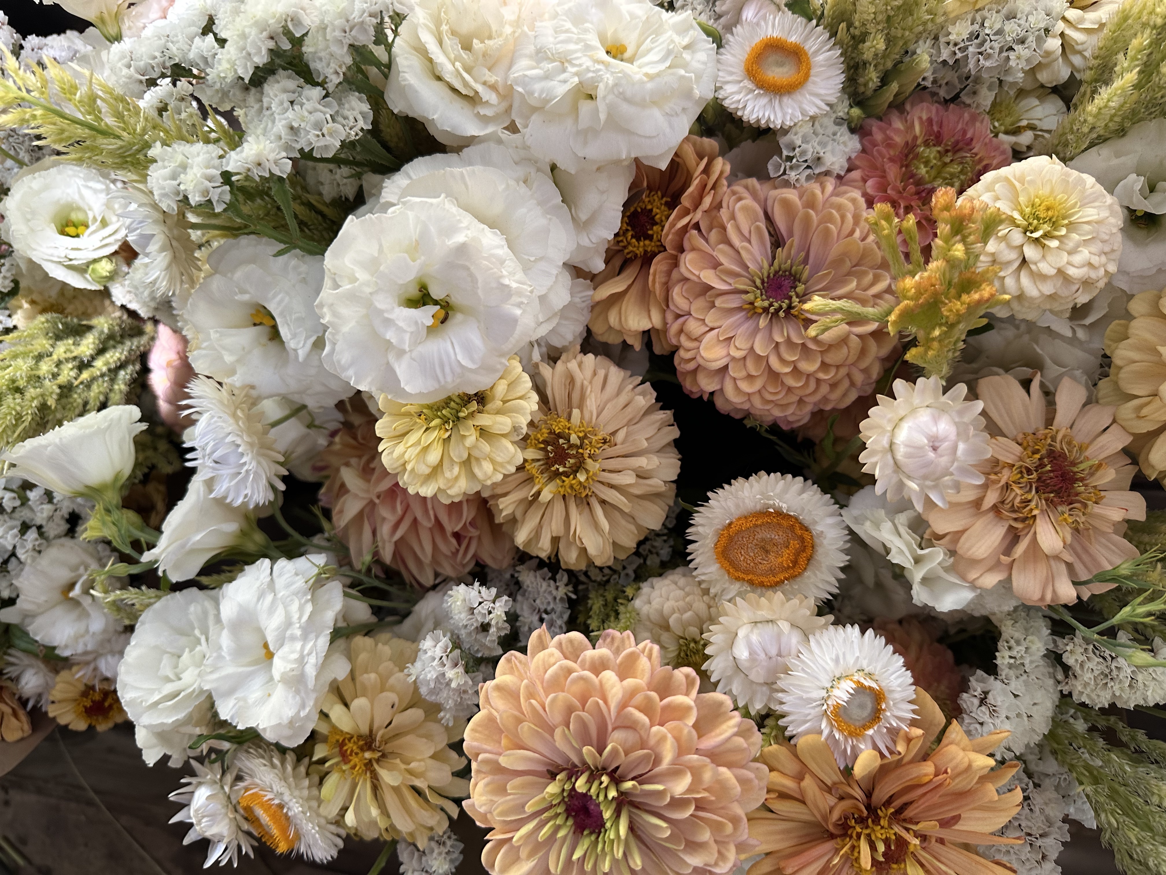 A bouquet of white, brown and yellow flowers