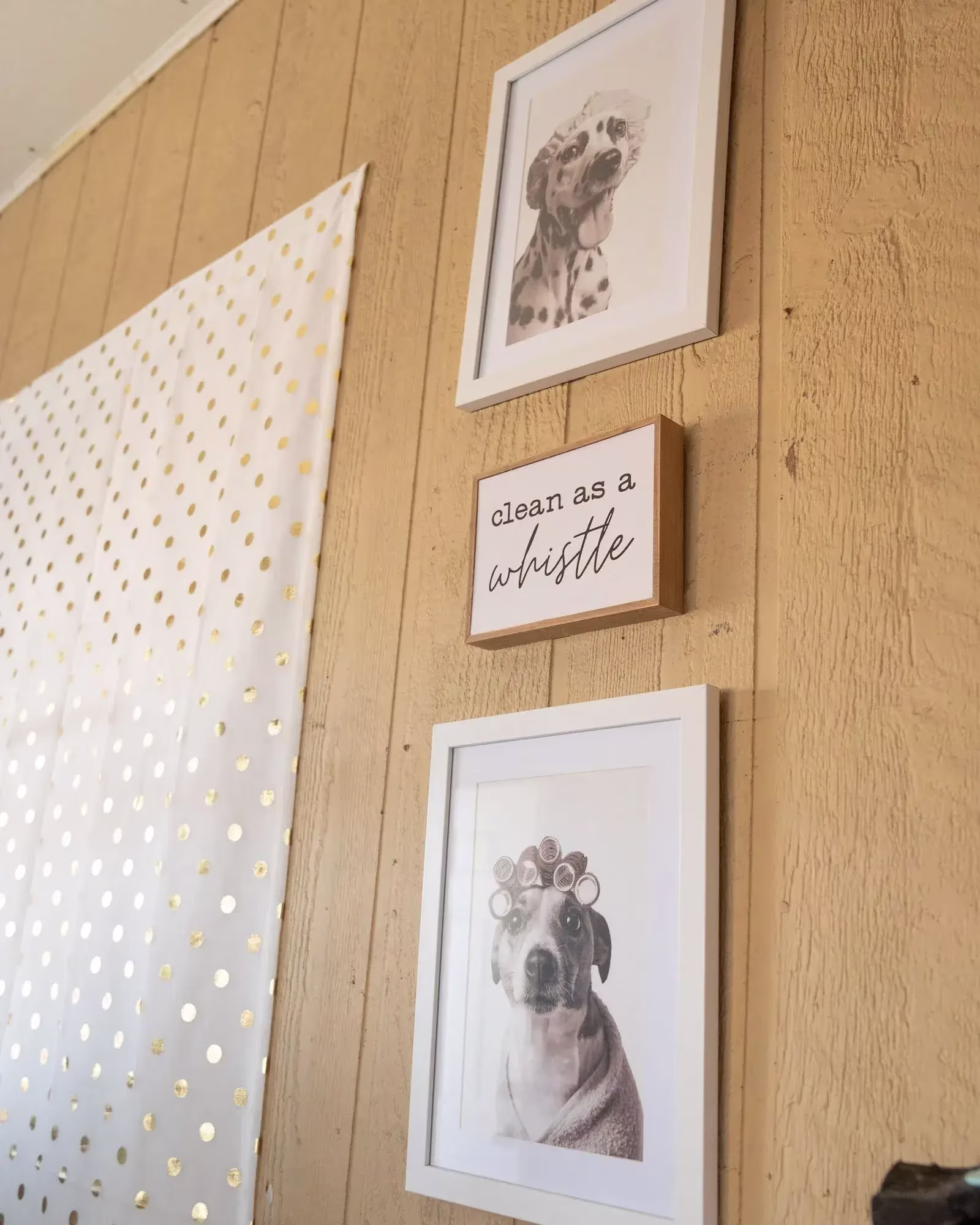 A wall with two frames of dogs and a quote in the middle.