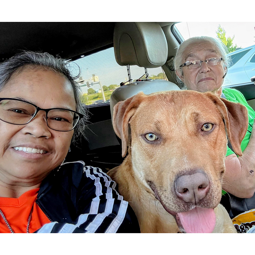 Daniel Fritz headshot