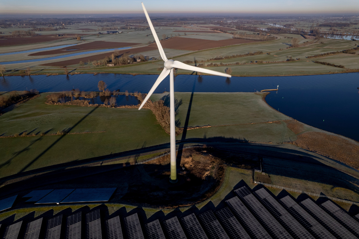 En tecknad tvättbjörn som blinkar och bär skyddsglasögon samt ett läderbälte, håller upp en kruka.