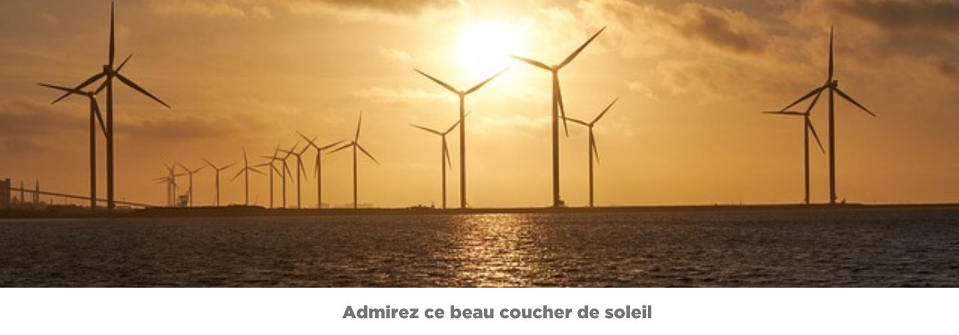 Photo d'éoliennes devant un coucher de soleil.