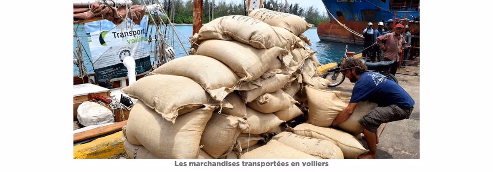 Une grande pile de sacs de jute est empilée sur un quai, prête à être chargée à bord d’un voilier visible en arrière-plan. Un homme accroupi soulève un sac, tandis que plusieurs autres personnes observent la scène. Une banderole sur le bateau indique « Transport à la voile ». L’image illustre un mode de transport maritime écologique et bas carbone. Texte en dessous de l’image : « Les marchandises transportées en voiliers ».