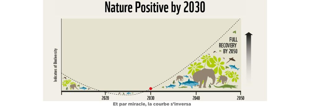 Illustration du concept de "Nature Positive"