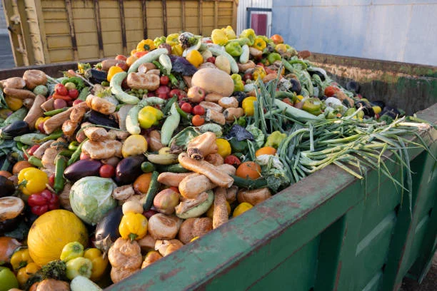 Benne remplie de fruits et légumes gaspillés.