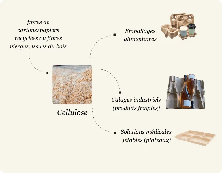 Comment la pâte à papier est fabriquée