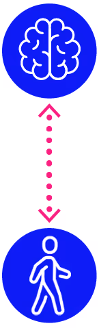 Brain to walking illustration