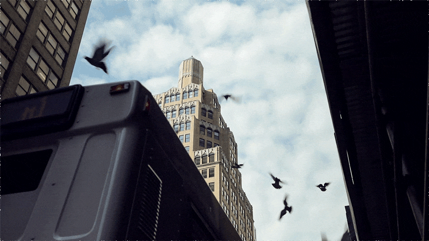NYC Cinemagraphs