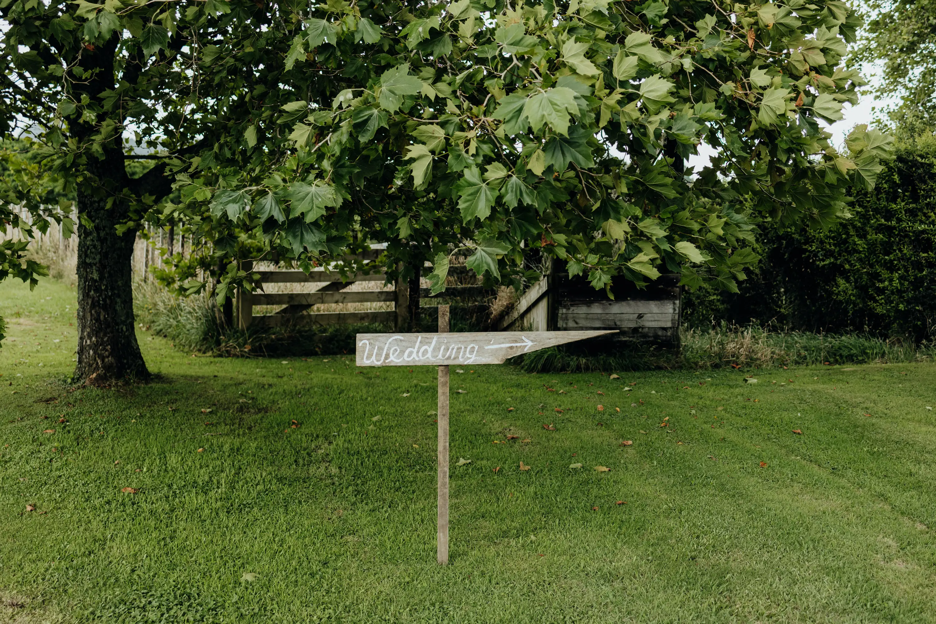 A wooden sign with "Wedding" written on it points to the right, standing on a grassy lawn near a large tree and a wooden fence in the background.