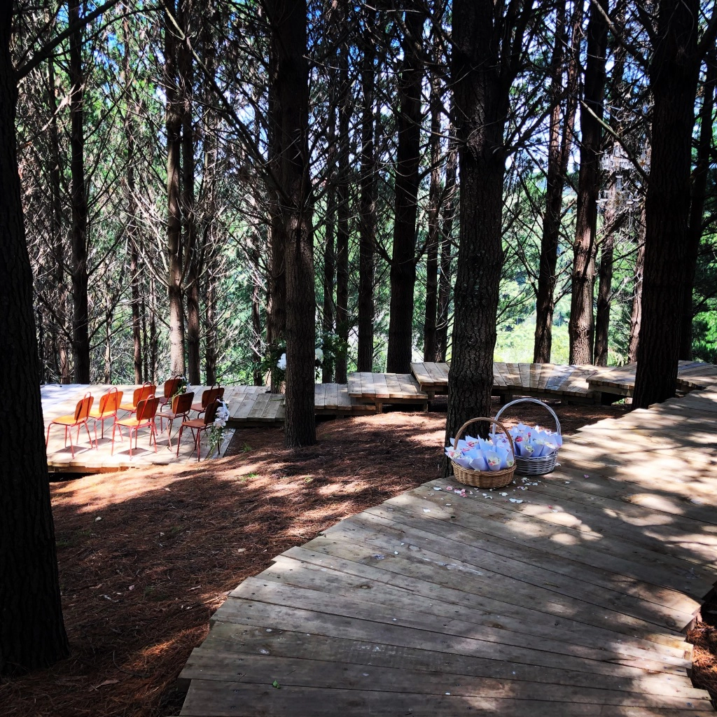 A wooden pathway winds through a forest of tall, closely spaced trees. Two baskets with small items sit on the path, and a group of orange chairs is arranged nearby, suggesting an outdoor event setup.