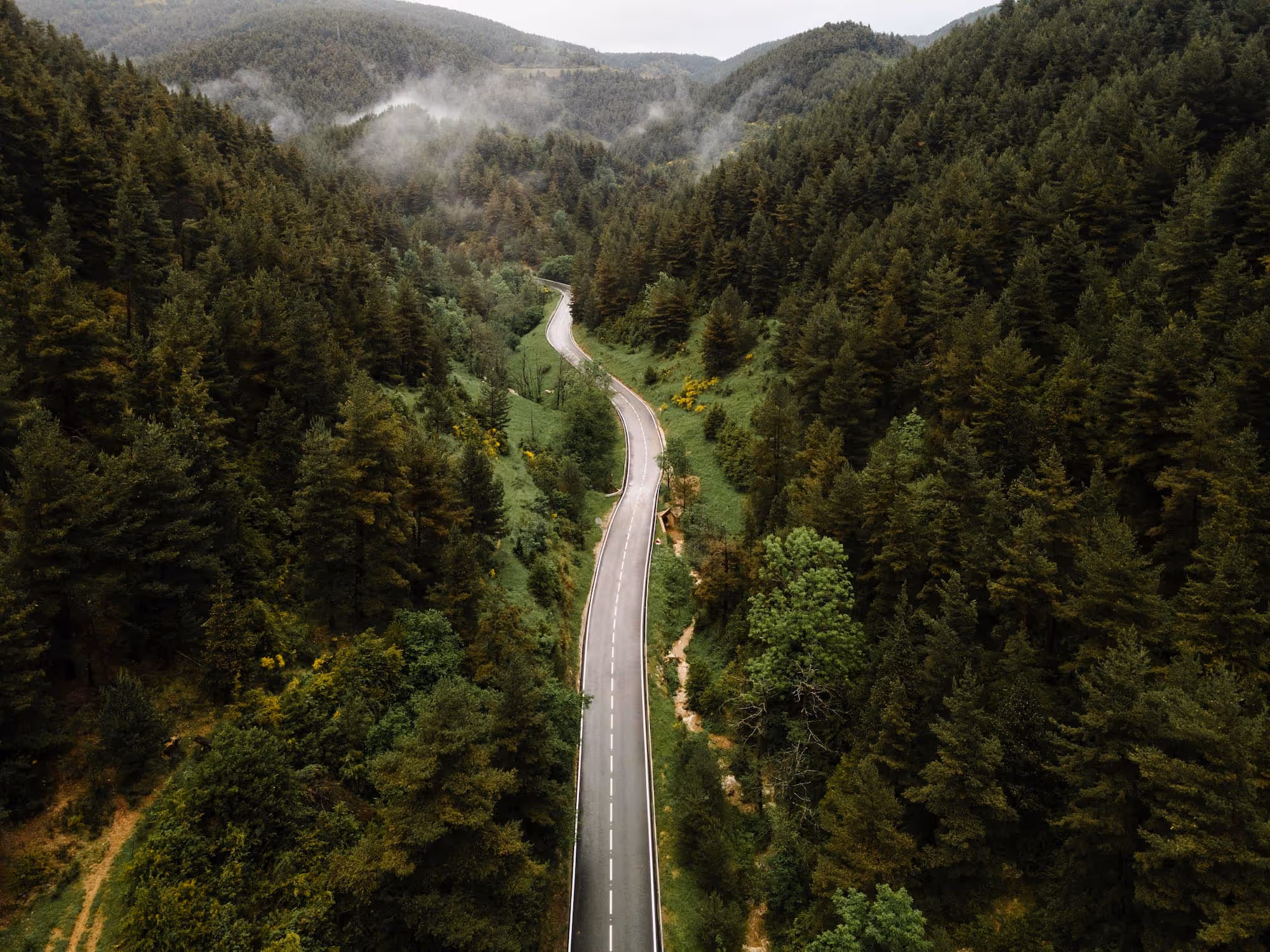 Aerial view of a winding road cutting through a lush, green forest with mist rising from the trees