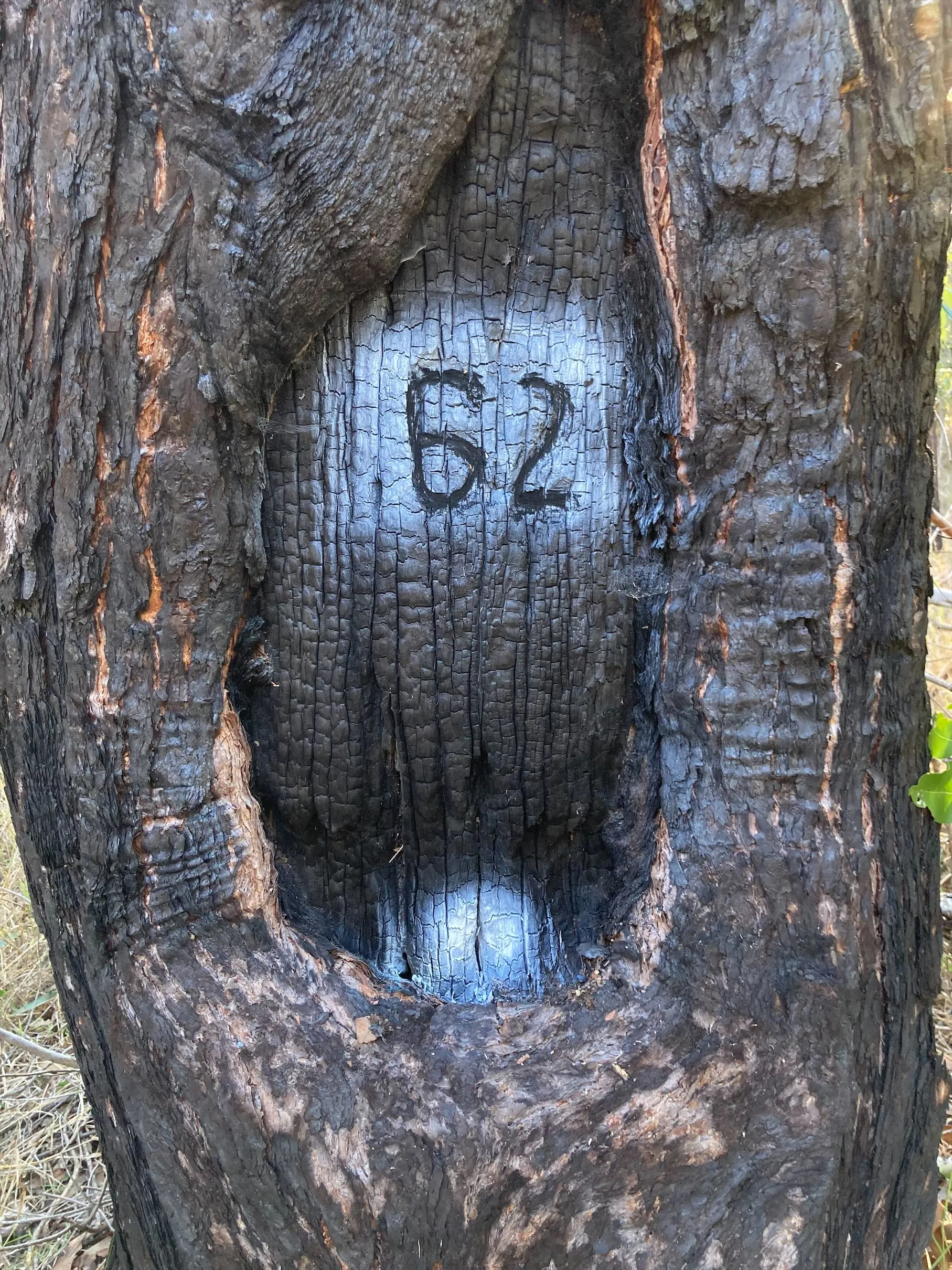 Elevation Solutions Photo