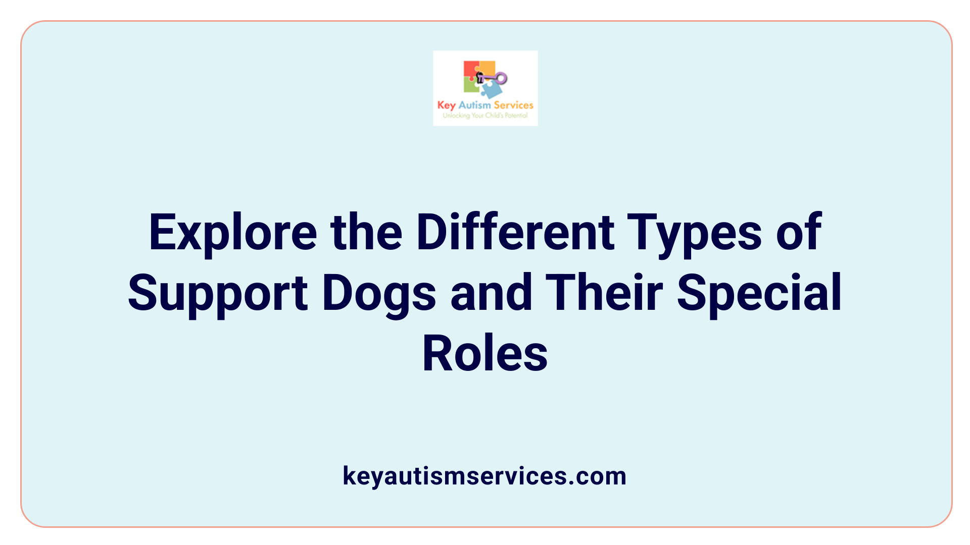 Explore the Different Types of Support Dogs and Their Special Roles