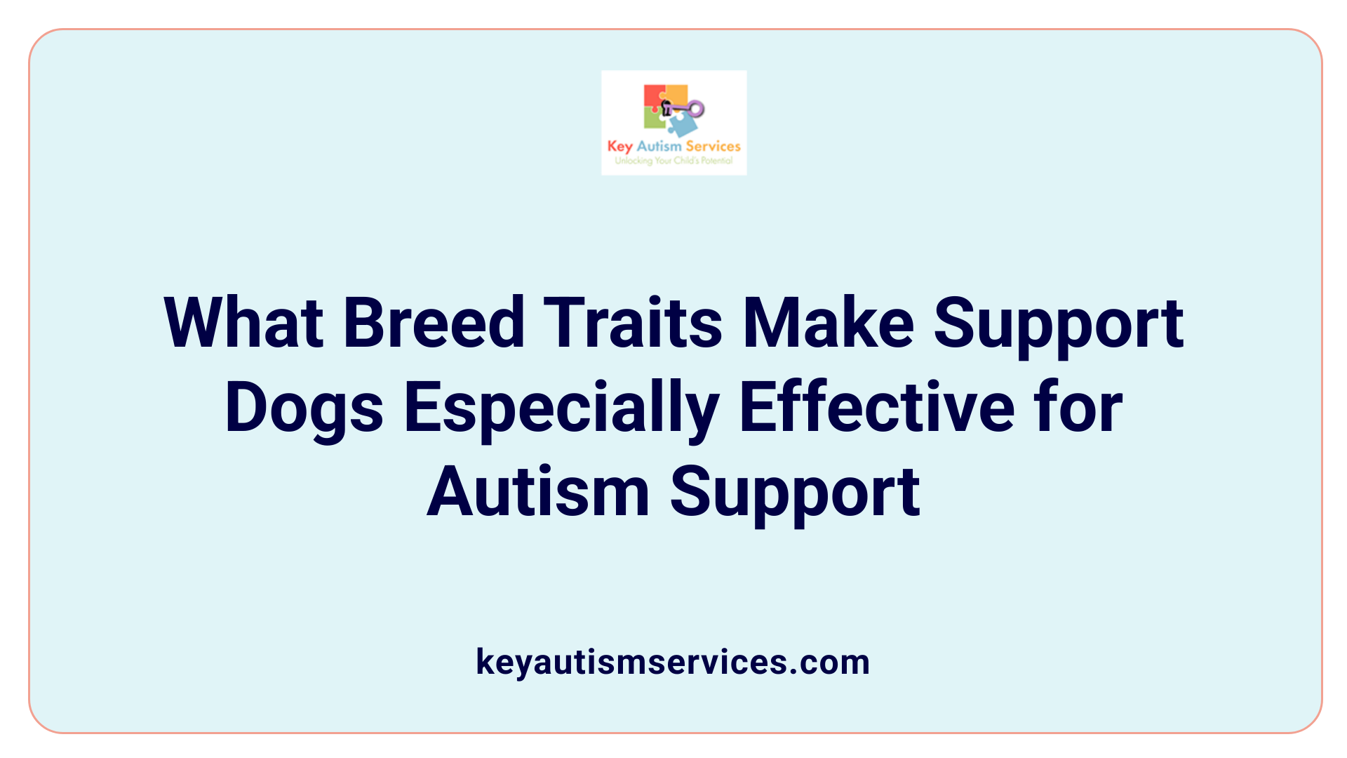 What Breed Traits Make Support Dogs Especially Effective for Autism Support