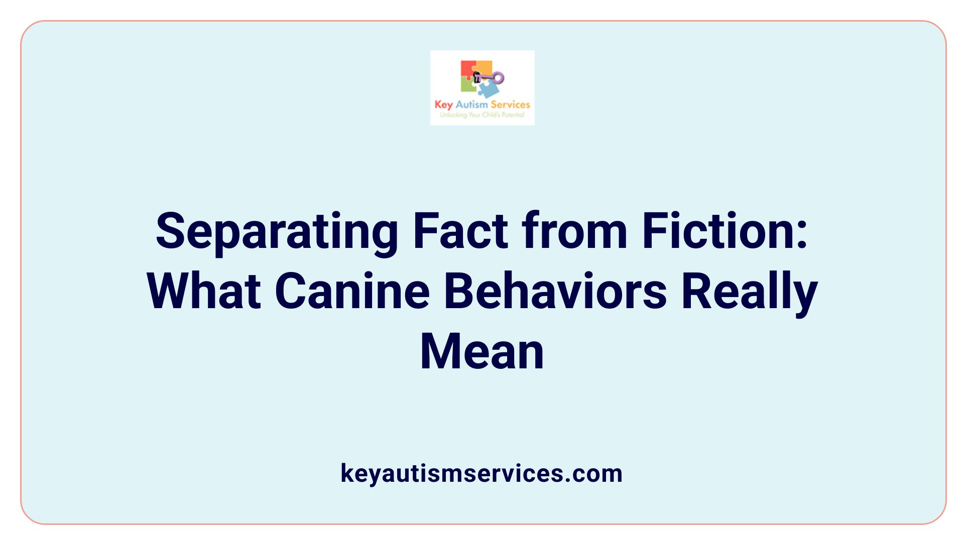 Separating Fact from Fiction: What Canine Behaviors Really Mean