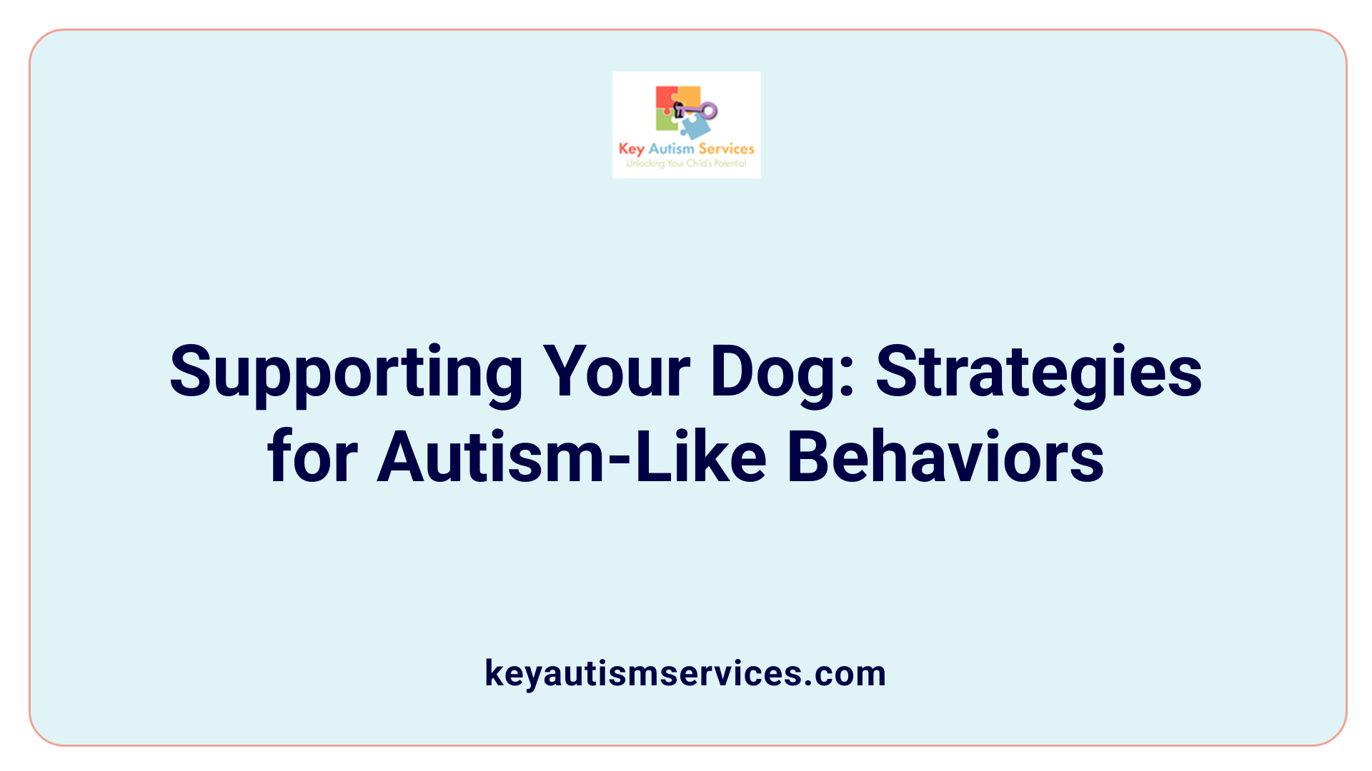 Supporting Your Dog: Strategies for Autism-Like Behaviors