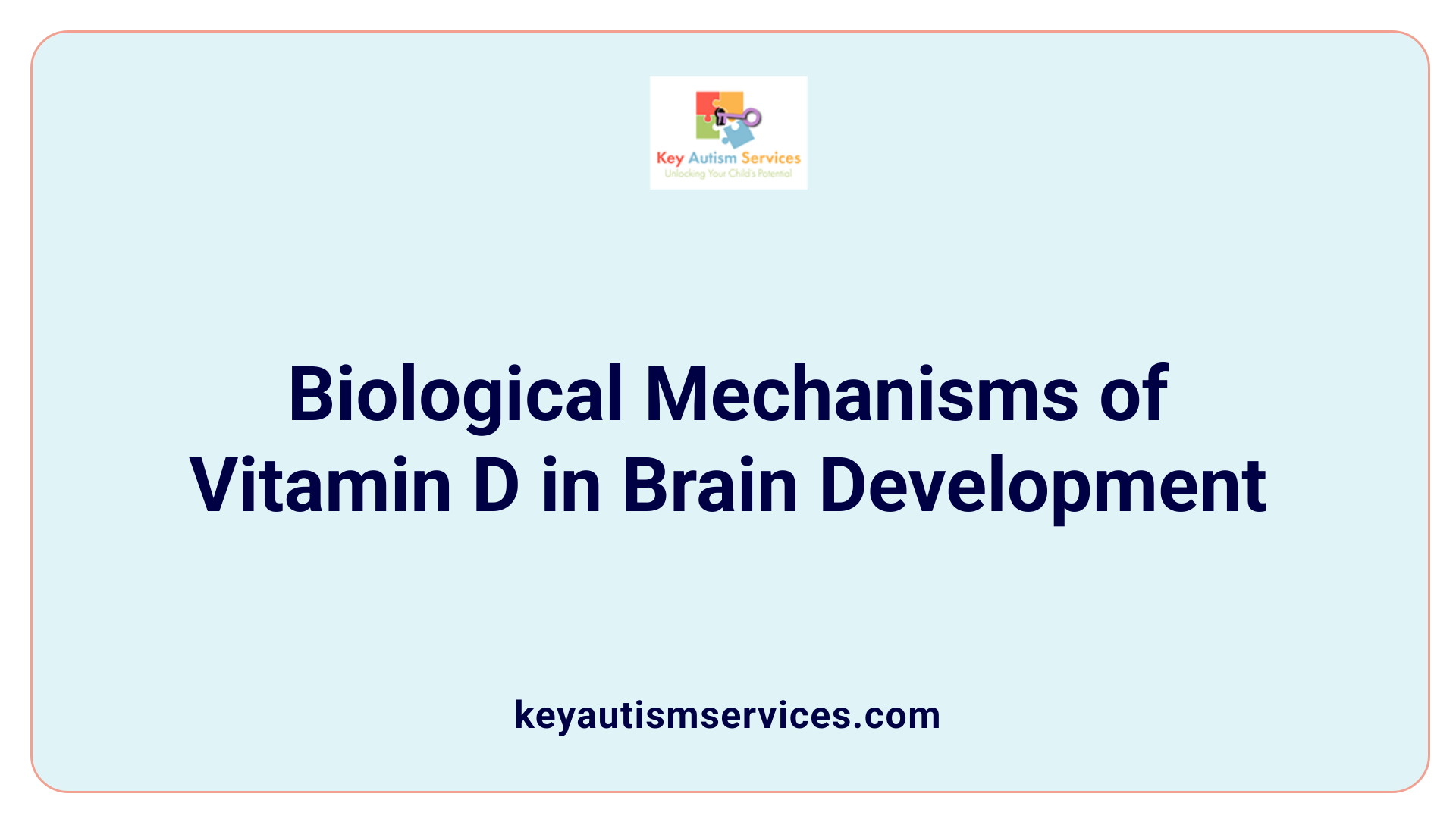 Biological Mechanisms of Vitamin D in Brain Development