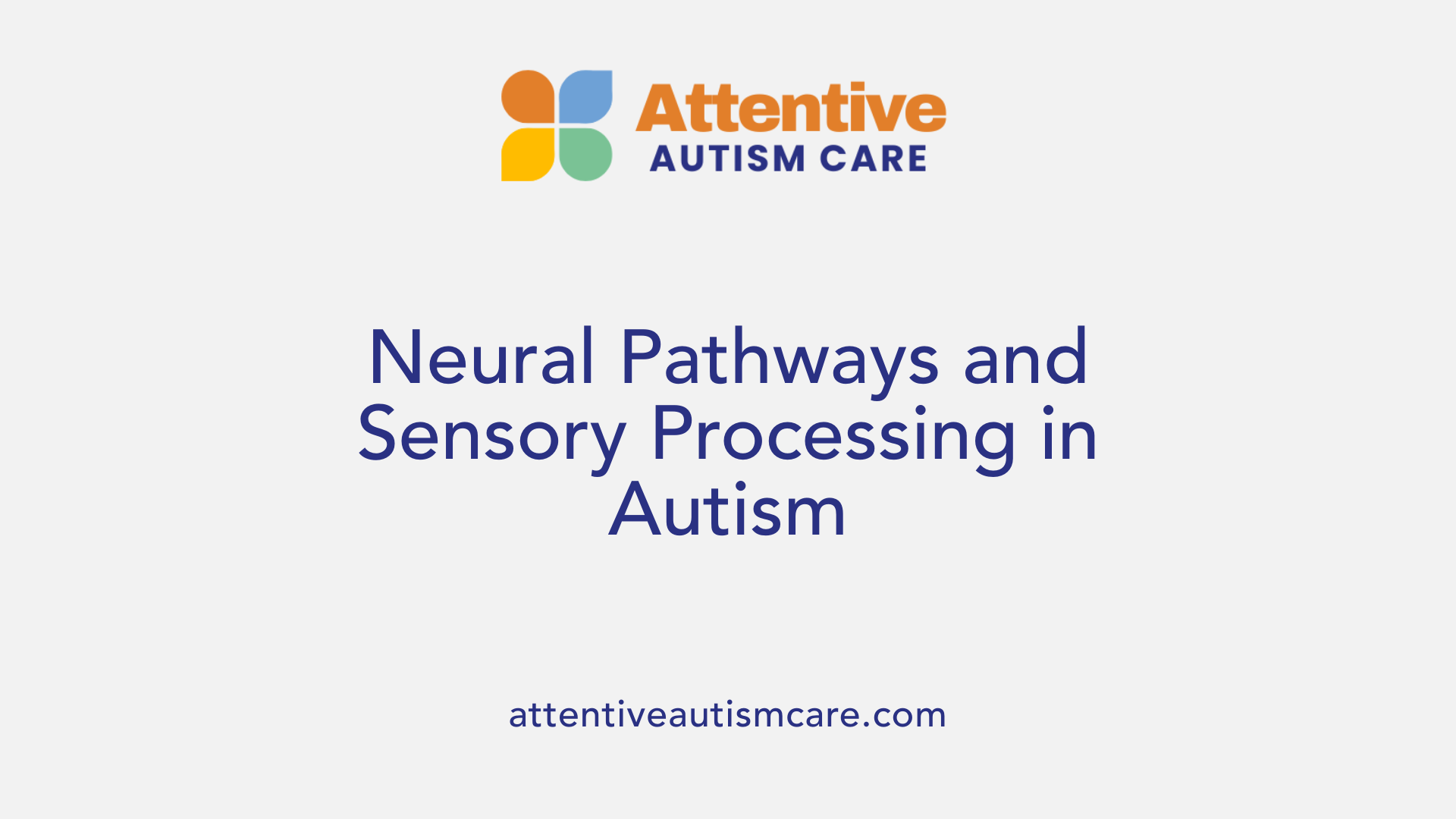 Neural Pathways and Sensory Processing in Autism