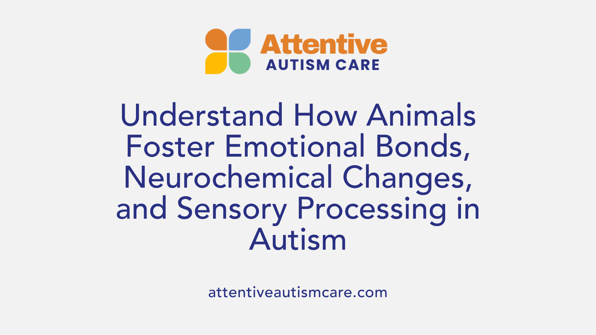 Understand How Animals Foster Emotional Bonds, Neurochemical Changes, and Sensory Processing in Autism