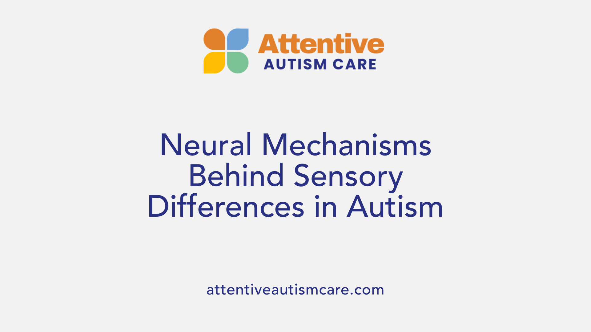 Neural Mechanisms Behind Sensory Differences in Autism