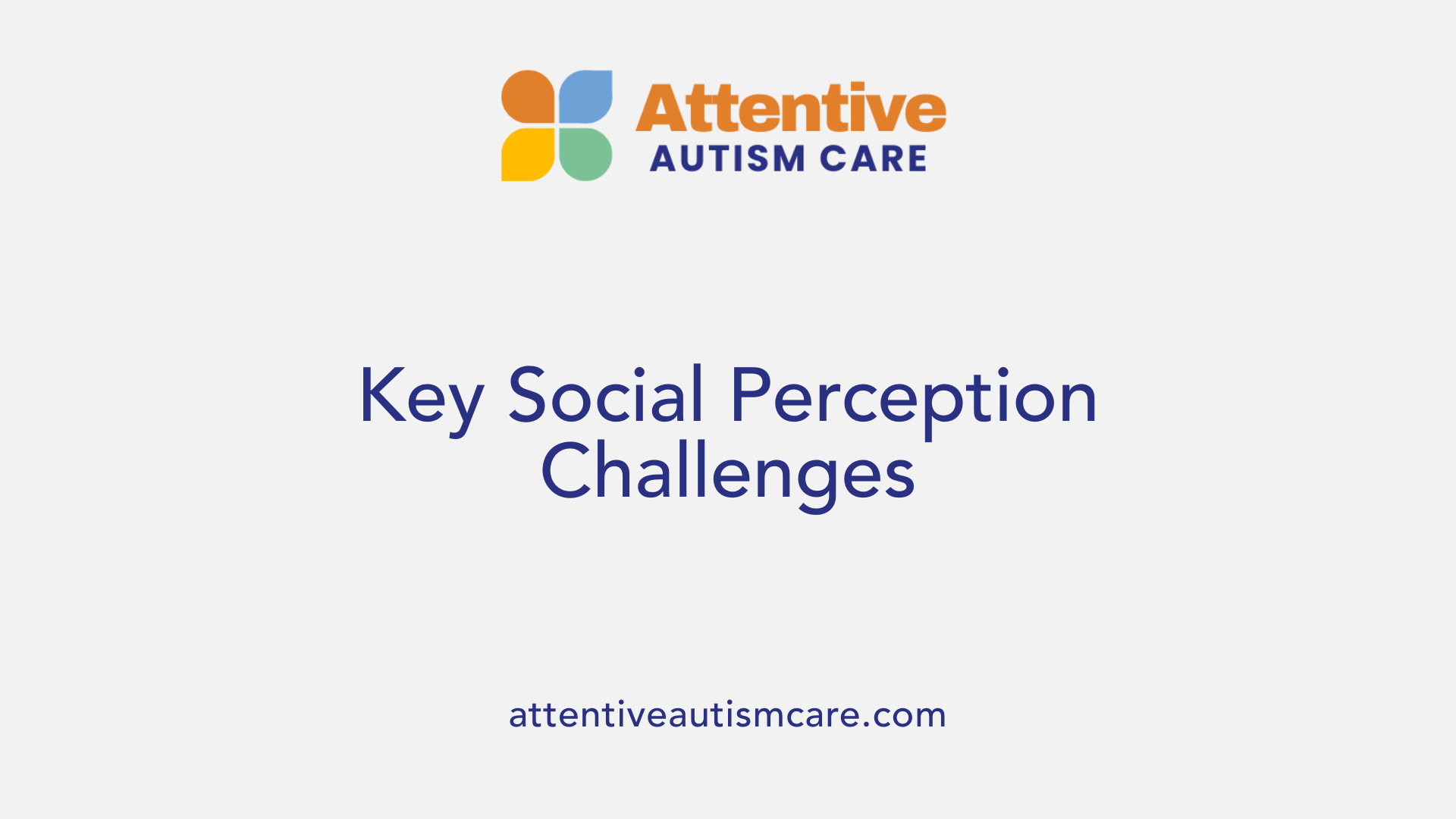Key Social Perception Challenges