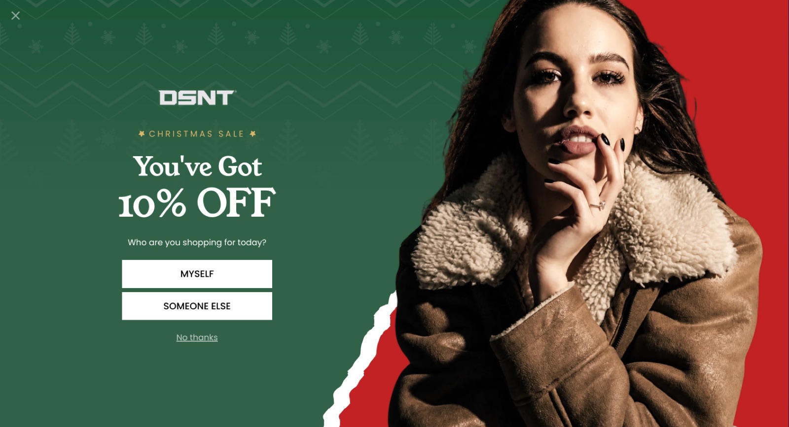 DSNT Holiday popup template, desktop