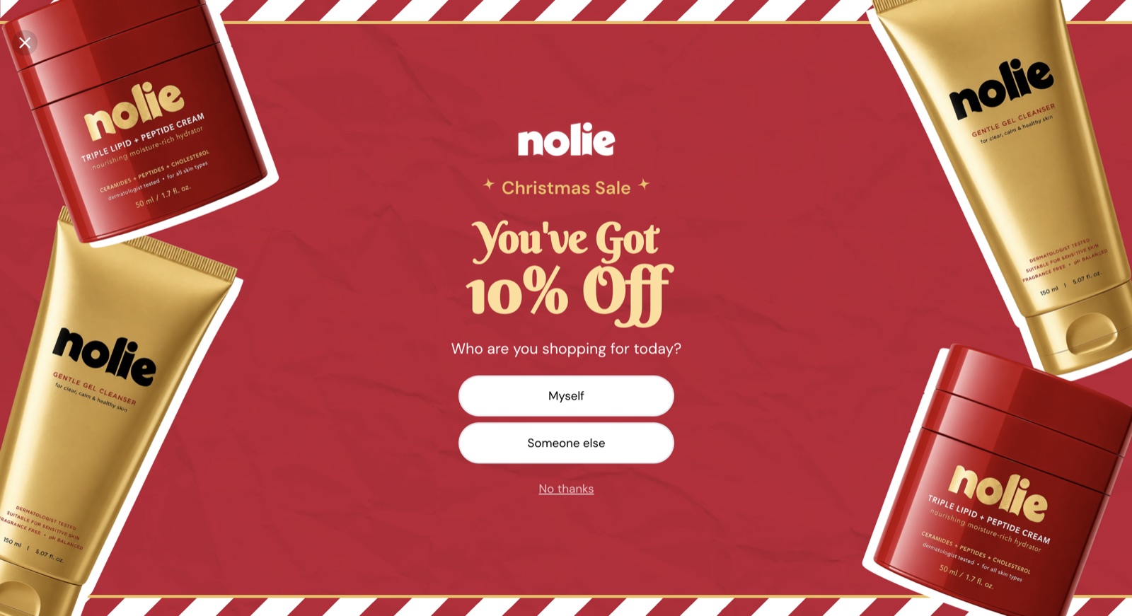 Noile Holiday popup template, desktop