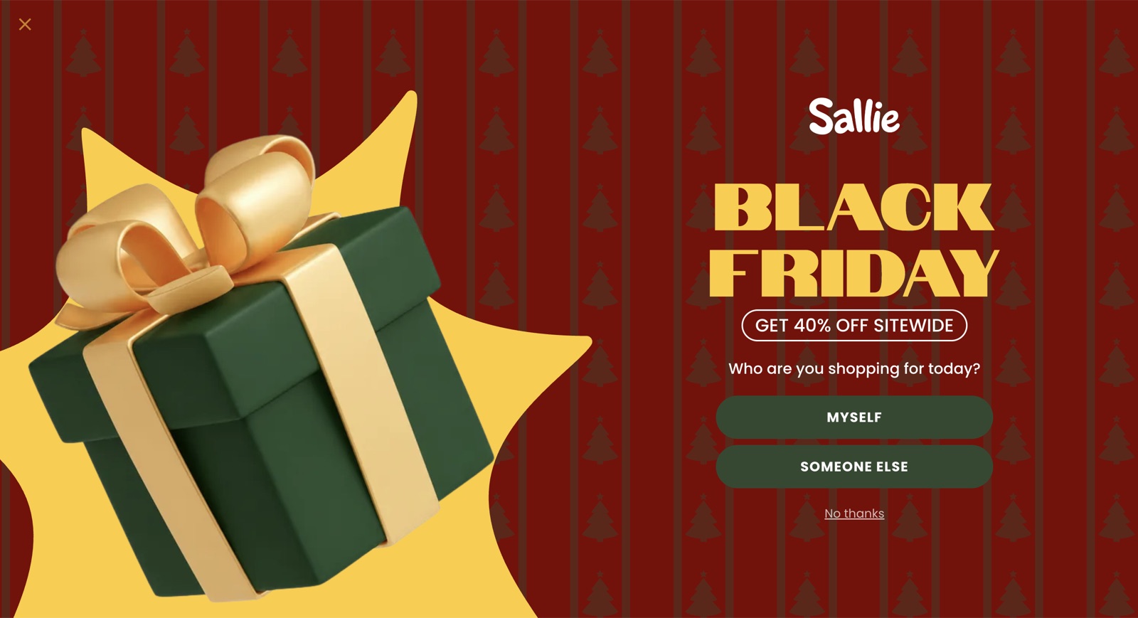 Sallie Holiday popup template, desktop