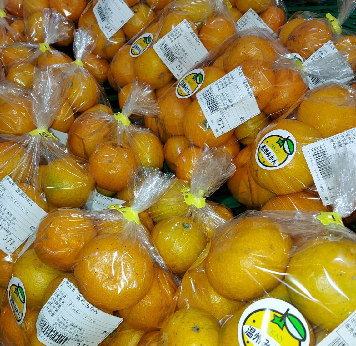 温州みかん販売中｜かぐらちゃや
