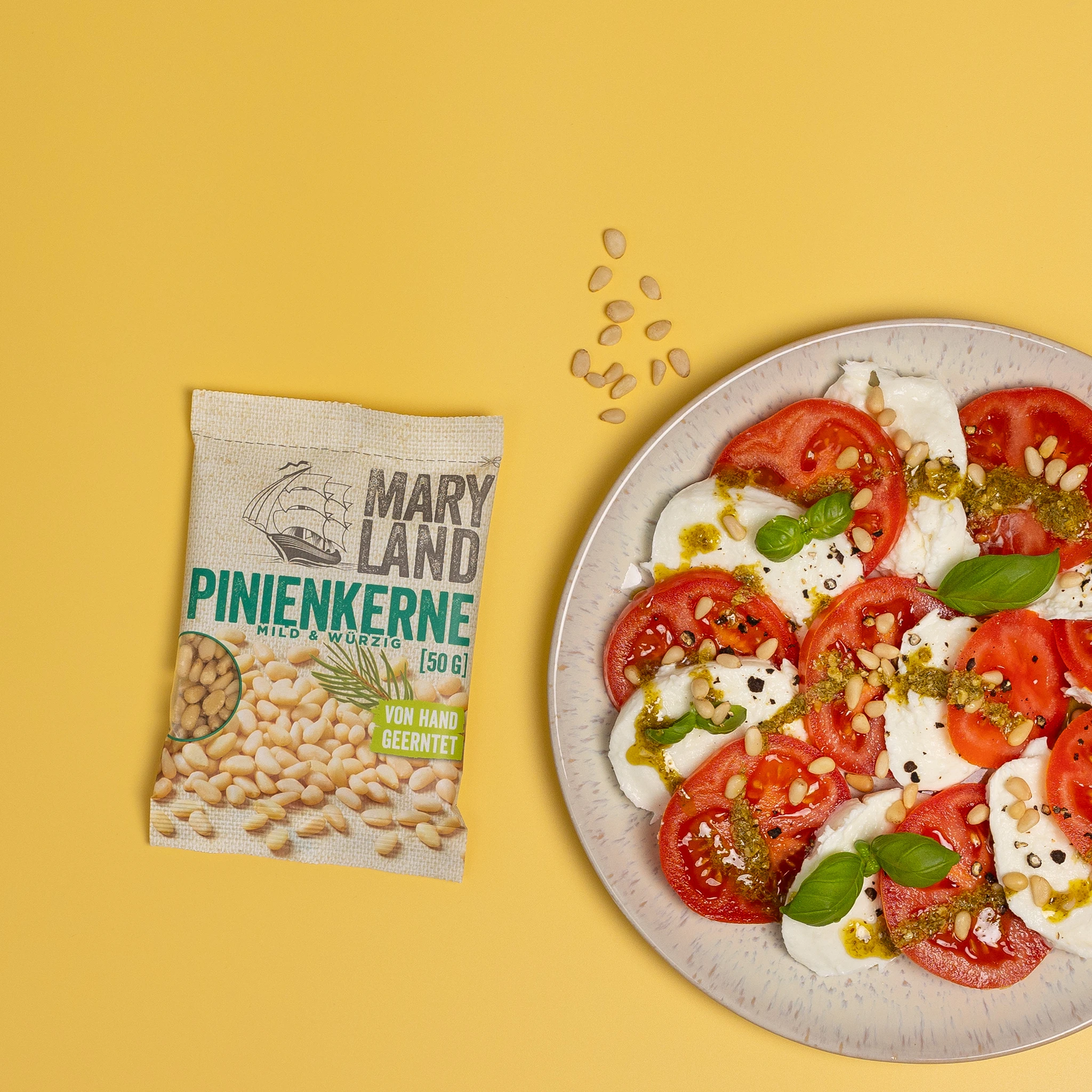 Pinienkerne