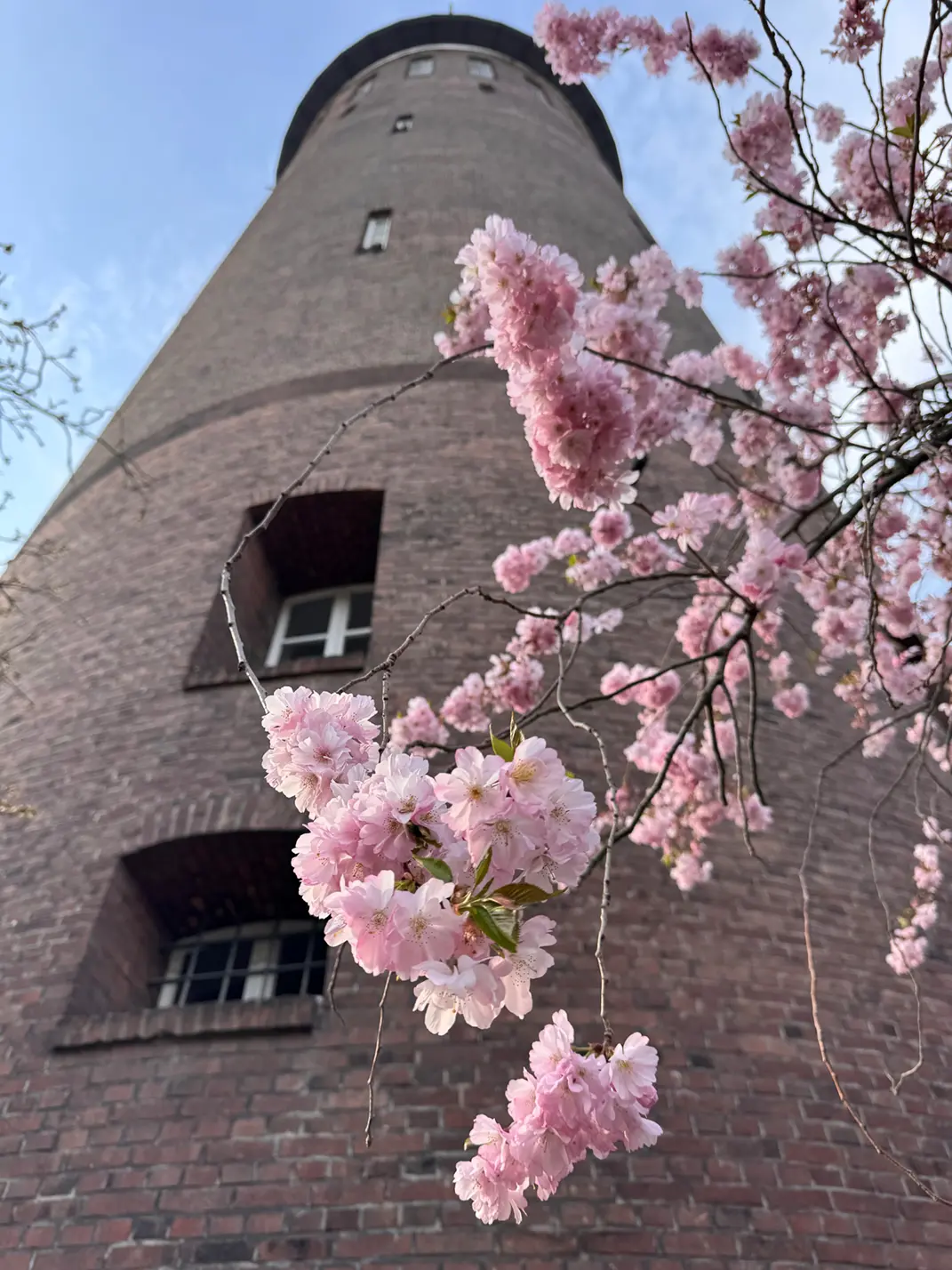Wasserturm Wesel Außen Blume