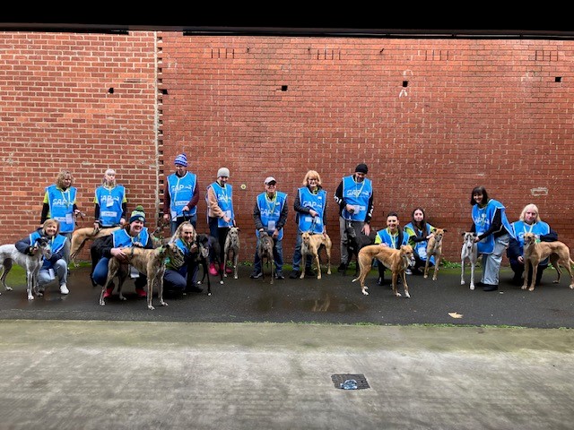 Greyhound Adoption Day - RSPCA Burwood