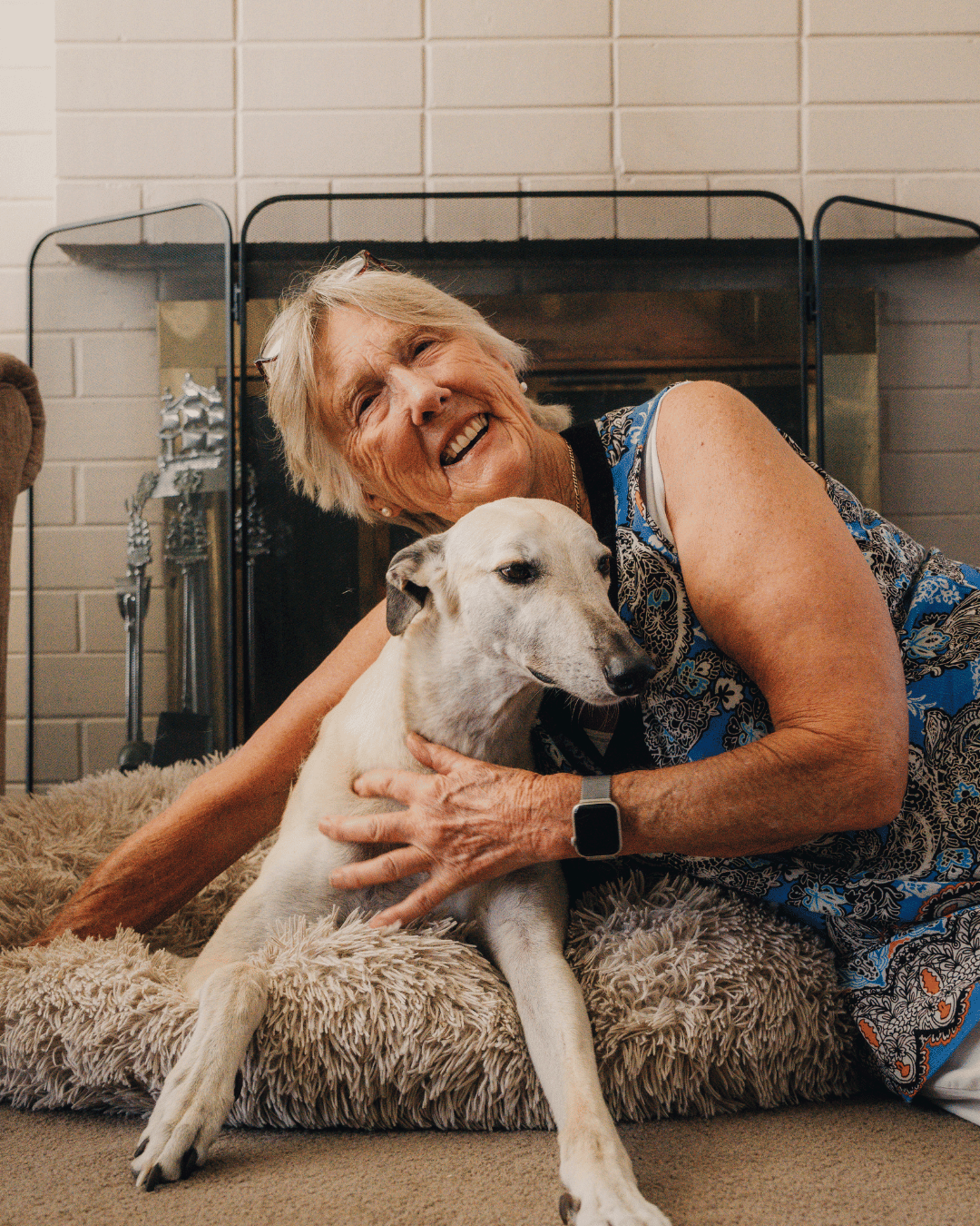 Greyhounds for Seniors: Affectionate, Low Maintenance Companions