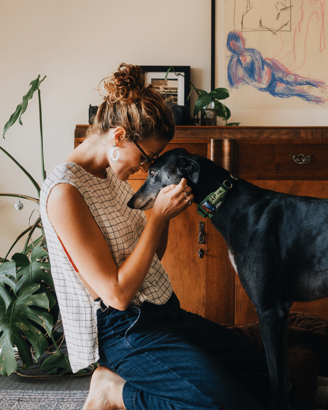 Living in an Apartment with a Greyhound